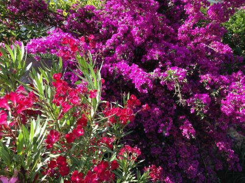 Bed & Breakfast Clos Des Aspres