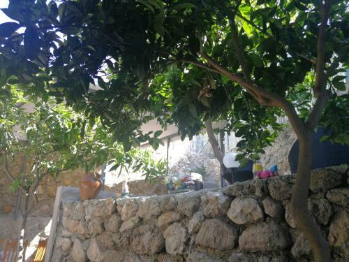 Apartamentos Velez Nazari La Choza