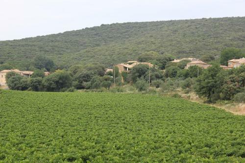 Gite De Bezut
