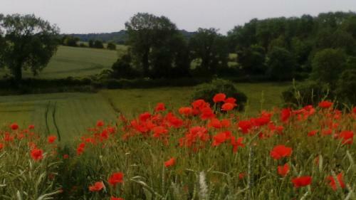 Bed & Breakfast Chambres Et Table D'h�tes Les Trois Marquets