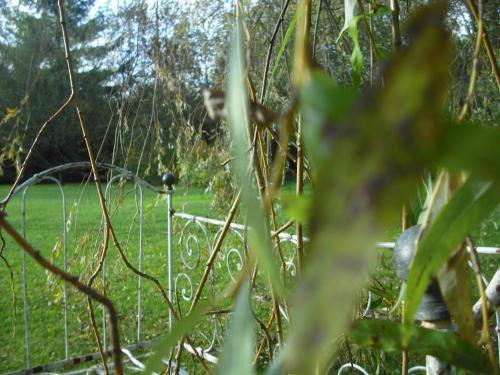 Bed & Breakfast Roulottes Du Rouard