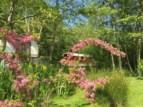 Bed & Breakfast Roulottes Du Rouard