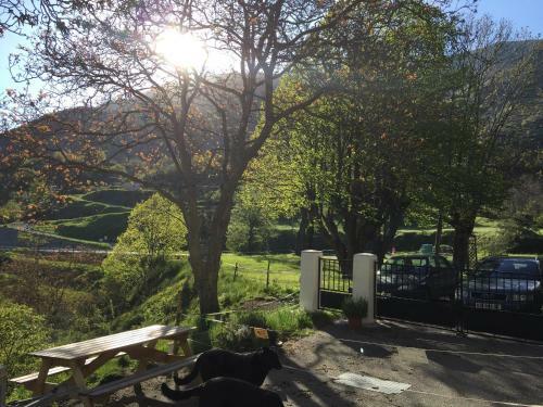 Bed & Breakfast Auberge Du Col De Brouis