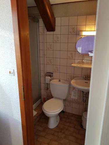 Hotel Au Vieux Moulin