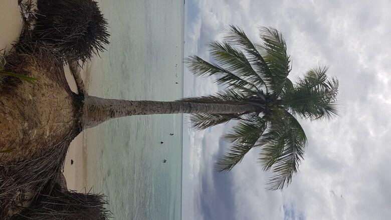 Hotel Saipan Marine Dive & Guest House
