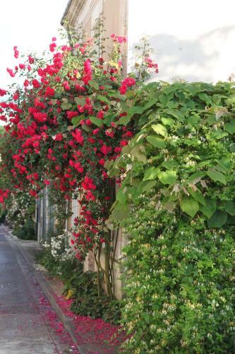 Bed & Breakfast Notes Florales
