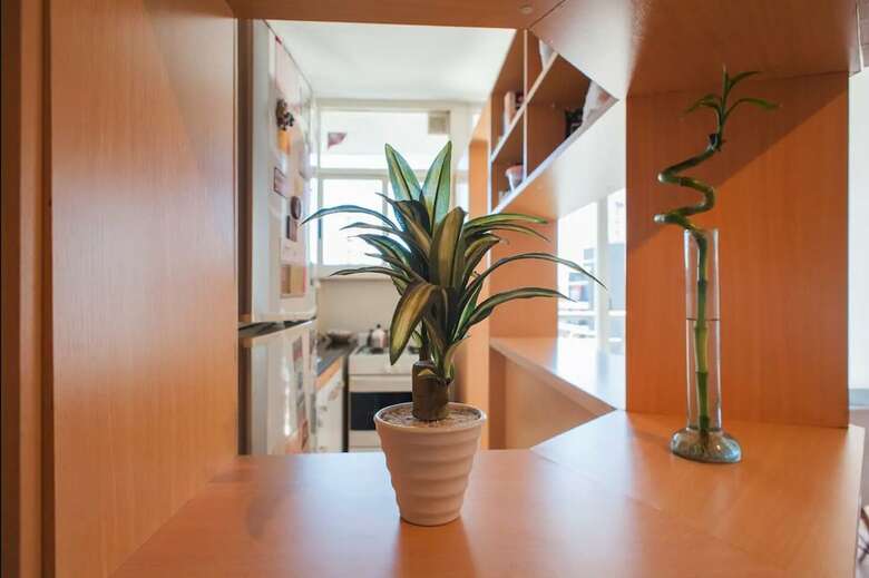 Apartamentos Departamento Palermo Con Balcon