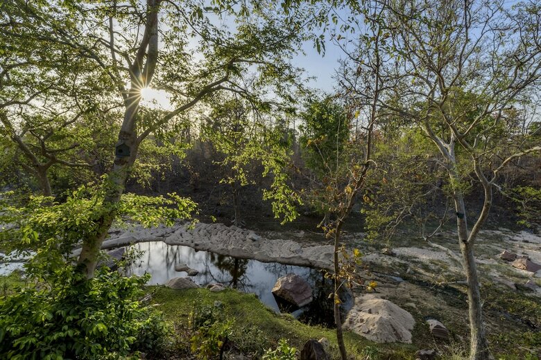 Apartamento The Riverwood Forest Retreat-pench