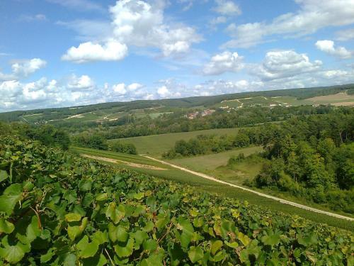 Holiday Home Le Sourcier Argancon