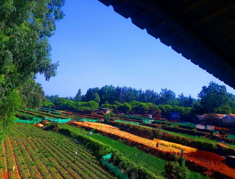 Hotel Strawberry Homes