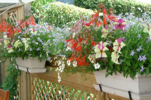 Bed & Breakfast Le Relais Des Malettes