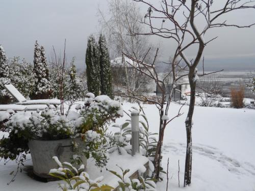 Bed & Breakfast Chambres D'h�tes Rachelle Schneider