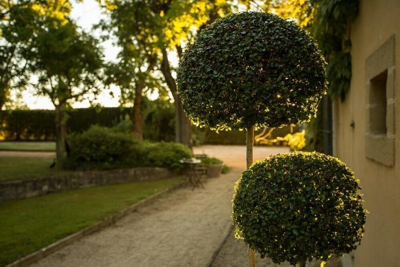 Bed & Breakfast Domaine de Fos