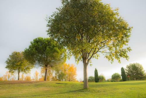 Aparthotel R�sidence Les Jardins De Massane