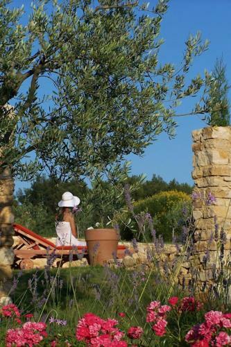 Bed & Breakfast Le Mas De Foussargues