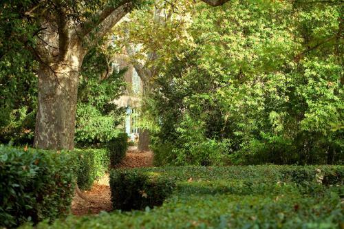 Bed & Breakfast Chateau De Saint Martin
