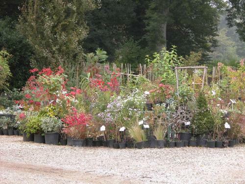 Bed & Breakfast Chambres D'h�tes Du Jardin Francais