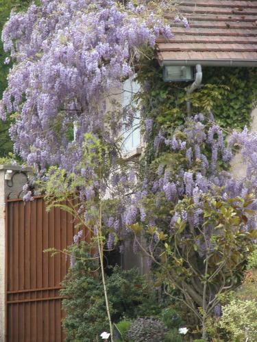 Bed & Breakfast Chambres D'h�tes Du Jardin Francais