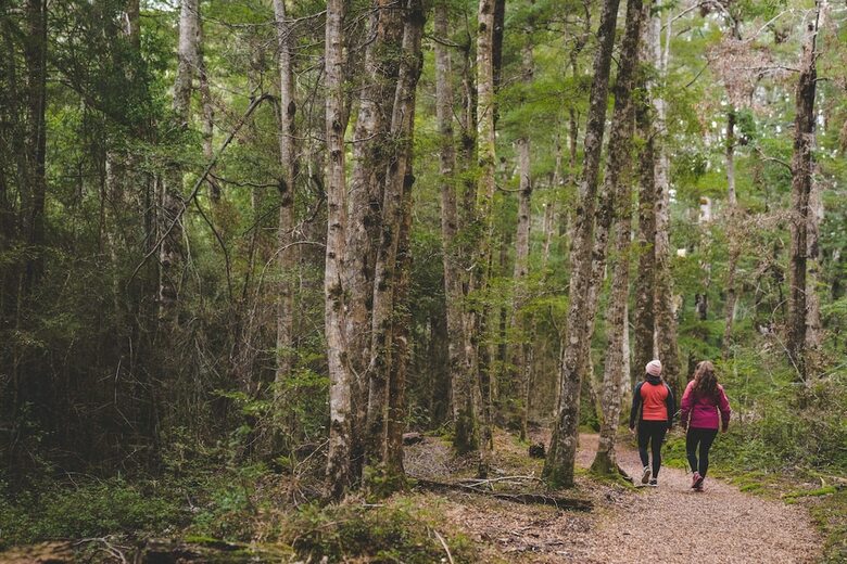 Hostal Lone Moose Backpackers