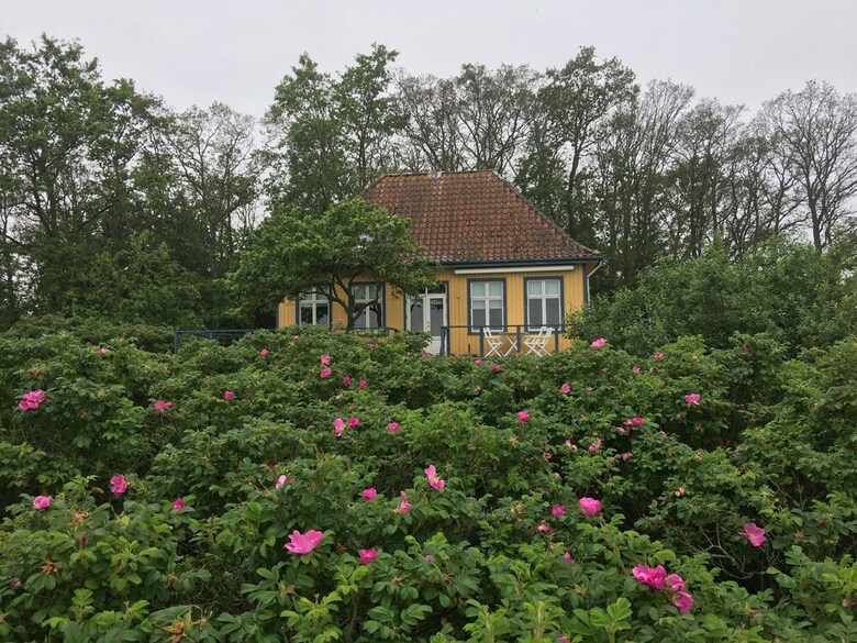Apartamentos Skaerven Beachfront Condos And Cottage