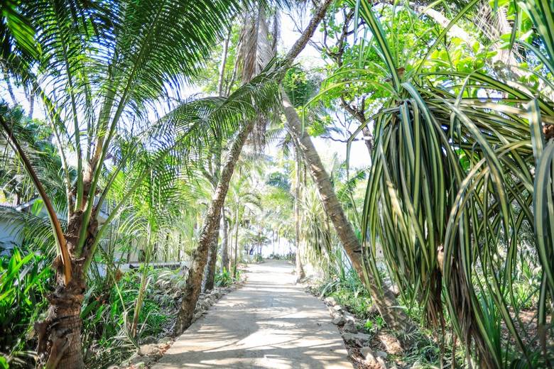 Hotel Nekaui Beachfront Villa 2 - Experience Nature