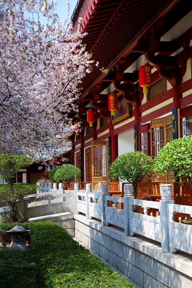Tang Dynasty Art Garden Hotel