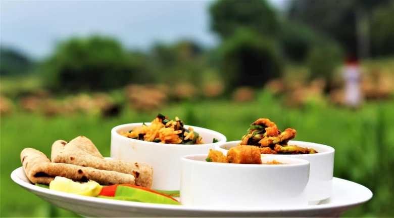 Aravali Nature Luxury Camp