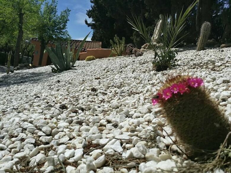 Camping & Bungalows Suspiro Del Moro