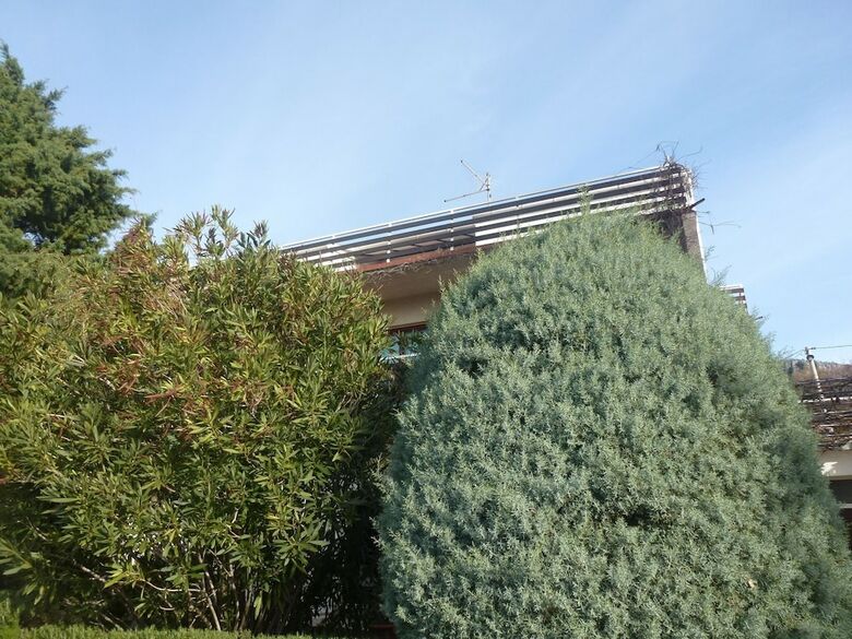 Barac Apartments