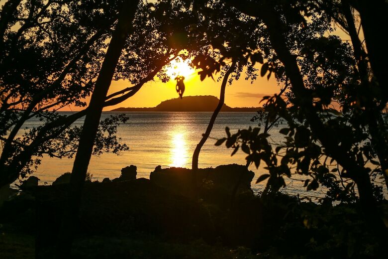 Bed & Breakfast Divi's Boutique Retreat