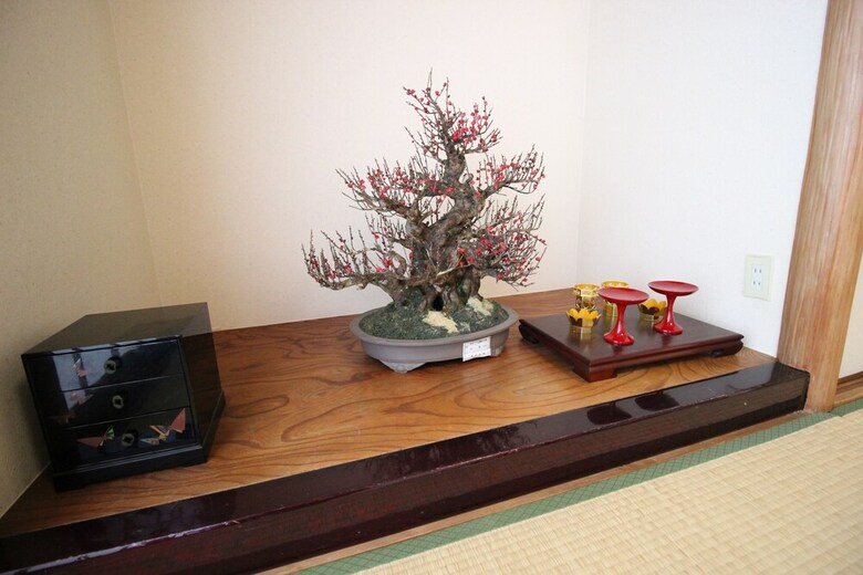 Apartamentos Noah's Ark Midoribashi