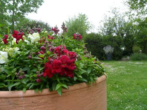 Bed & Breakfast Chambres D'h�tes La Turone