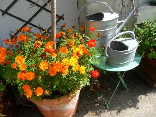 Bed & Breakfast Chambres D'h�tes La Turone