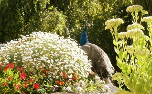 Bed & Breakfast Les Demoiselles De Ladoix