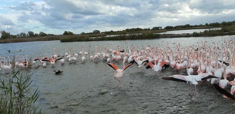 Bed & Breakfast L'effet Mer