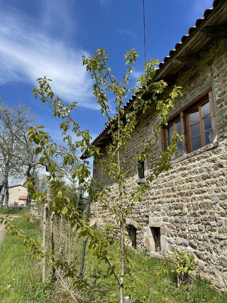 Hostal Jasserie Les Airelles