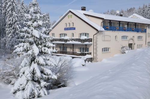 Hotel Au Moulin Des Truites Bleues
