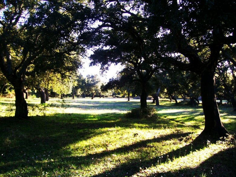 Agroturismo Agriturismo Orosu
