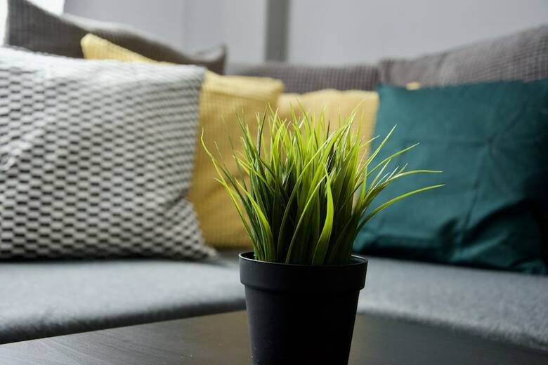 Standard Apartment By Hi5 - Asb�th 15