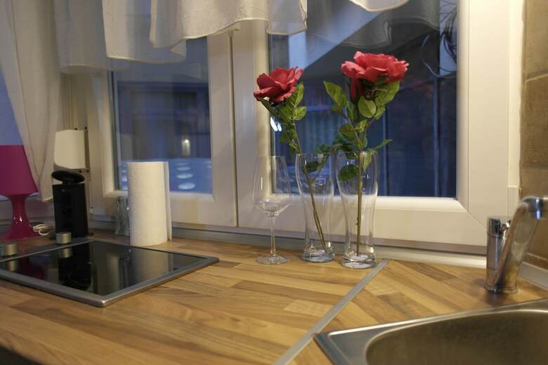 Standard Apartment By Hi5 - Pet?fi 12.