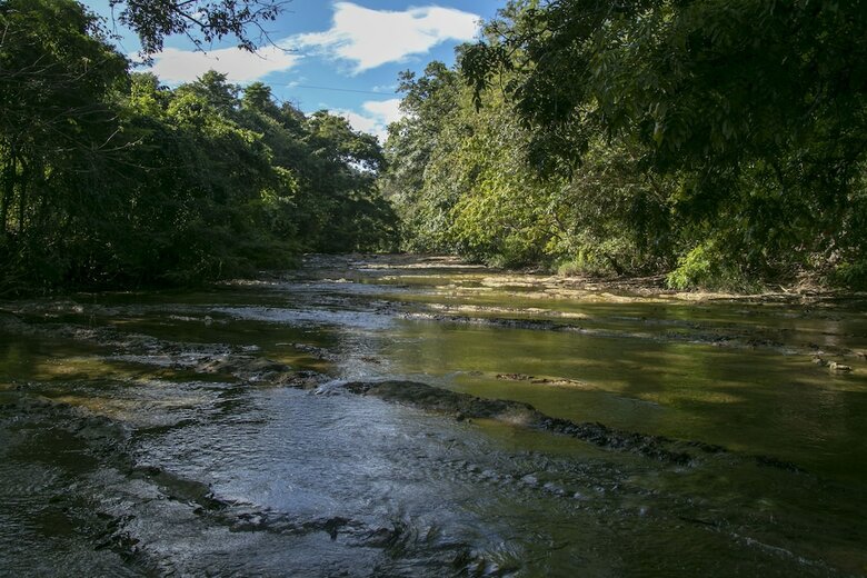 Hotel Villas Cabuya Beach & Forest