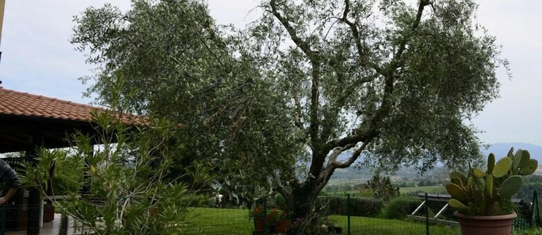 Agroturismo Casale Di Colle