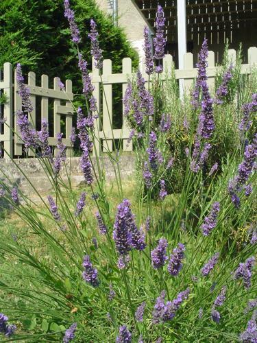 Bed & Breakfast La Cabane De P�p� Emilien