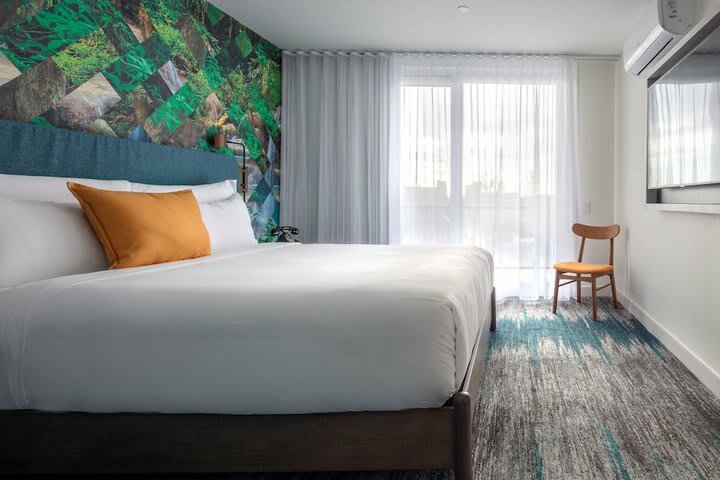 Hotel Canvas Moncton, Tapestry Collection By Hilton