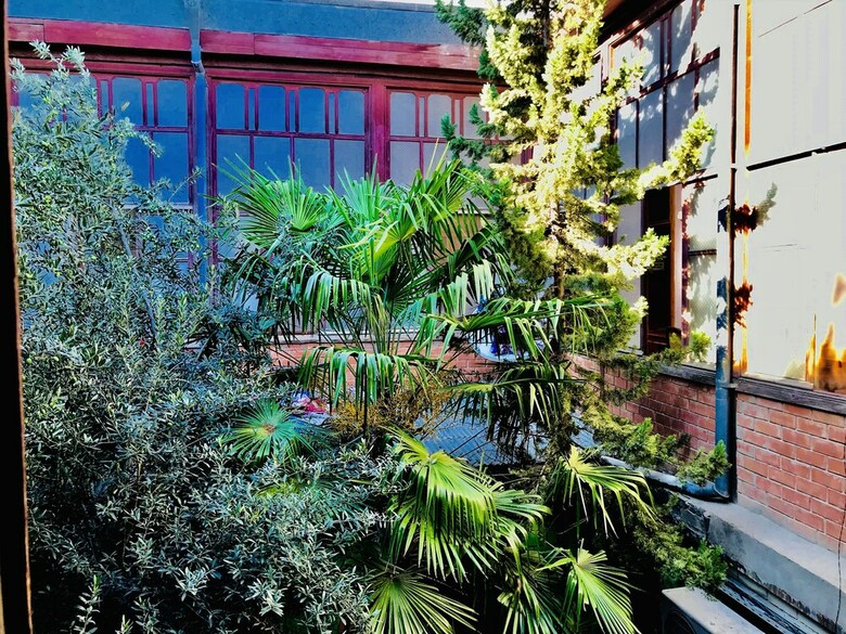 Hostal The Punjab Residency - Hostel