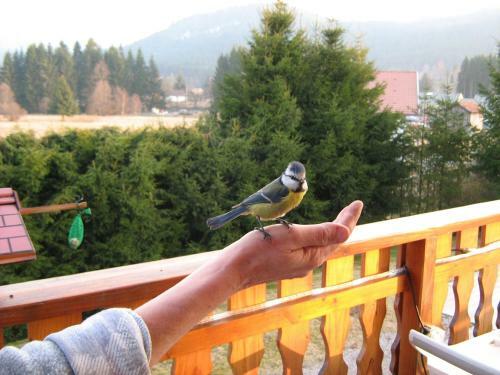 Hostal Chalet G�rardmer Situ� A Le Tholy