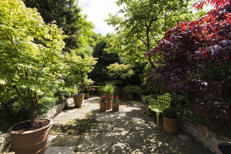 Fabulous Camden Townhouse Near Hampstead Heath