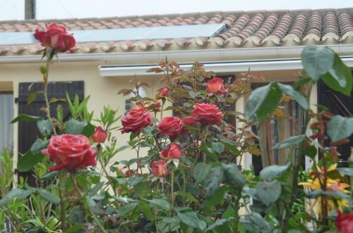 Bed & Breakfast Chambres D'h�tes La Forterie