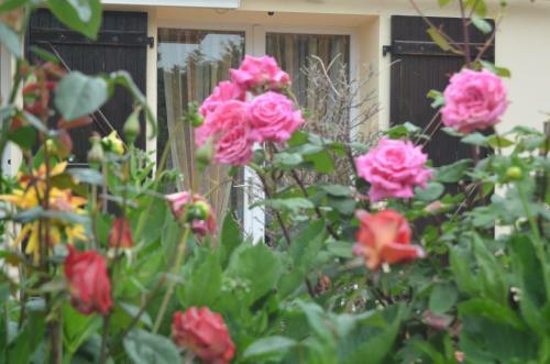 Bed & Breakfast Chambres D'h�tes La Forterie