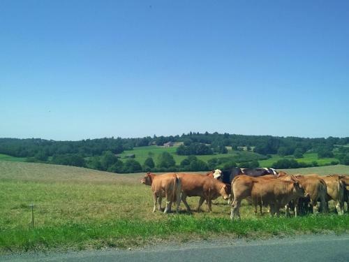 Holiday Home Le Haut Chambon Savignacledrier